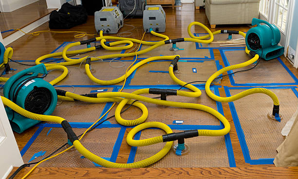Professional Structural Drying And Dehumidification technician working in Wakefield, KS