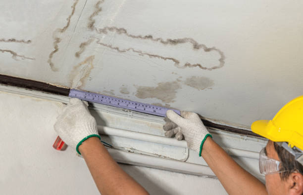Affordable Water Damage Repair solutions in Wakefield, KS